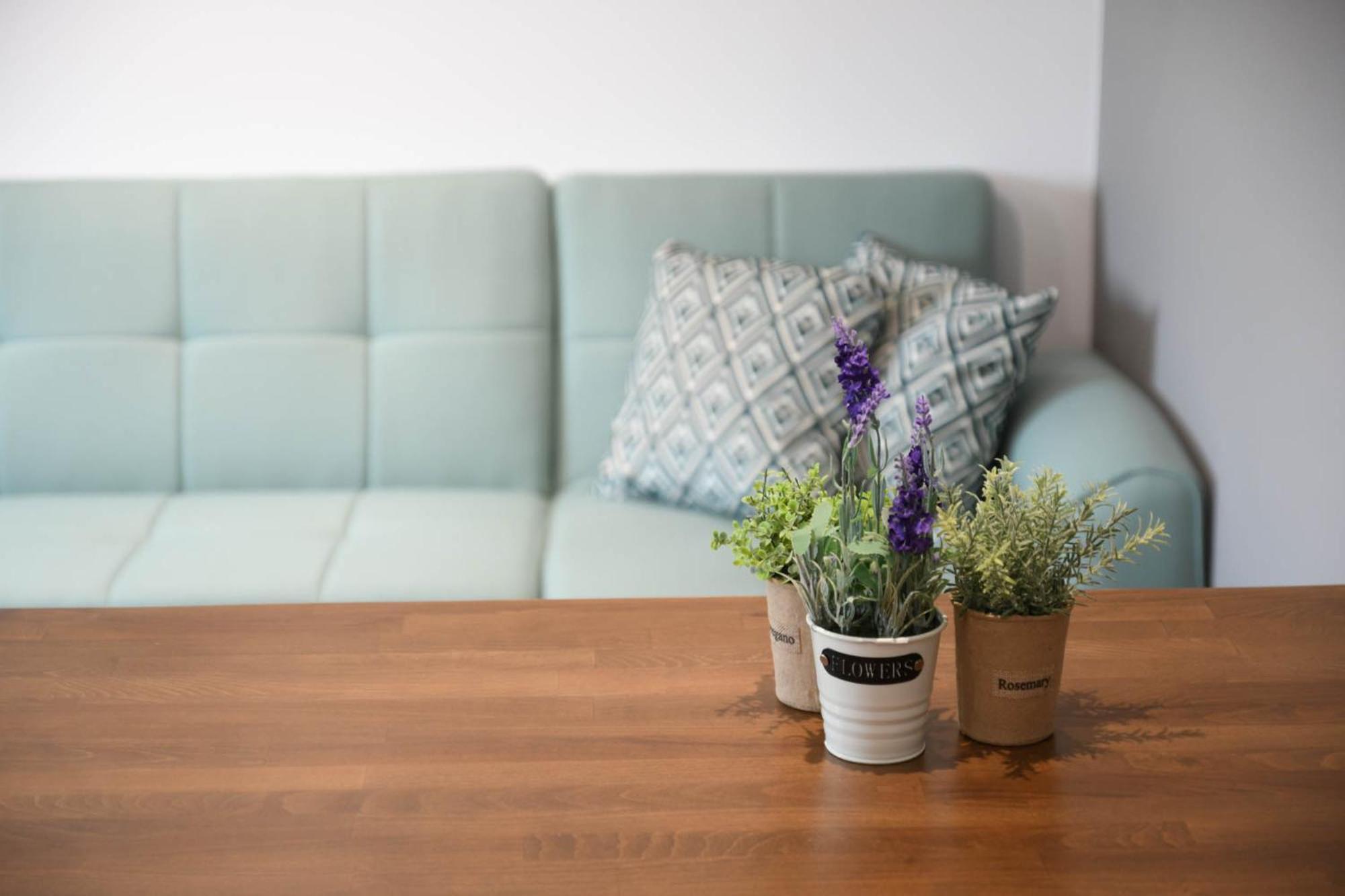 Orion Eco Suites 칼터로스 객실 사진